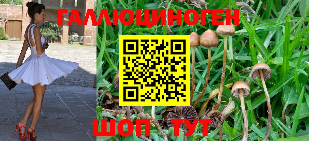 Псилоцибиновые грибы ЛСД  Вход с VPN  Галлюциногенные грибы MAGIC MUSHROOMS  Ангарск 
